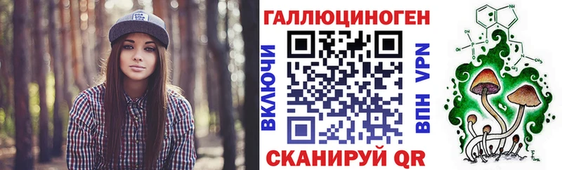 блэк спрут ссылка  Данилов  Галлюциногенные грибы MAGIC MUSHROOMS 